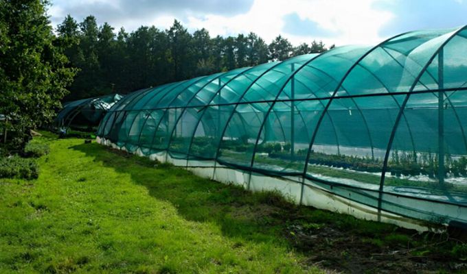 Comprehensive Guide to Shade Net Suppliers Across the UAE