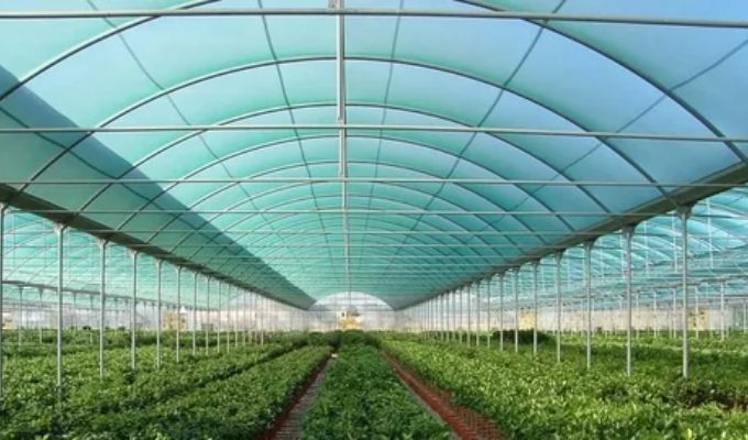 Top Shade Net Suppliers in Dubai Quality and Reliability