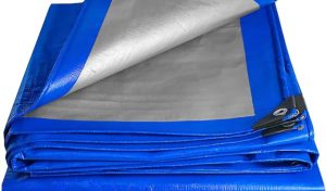 Environmental Responsibility