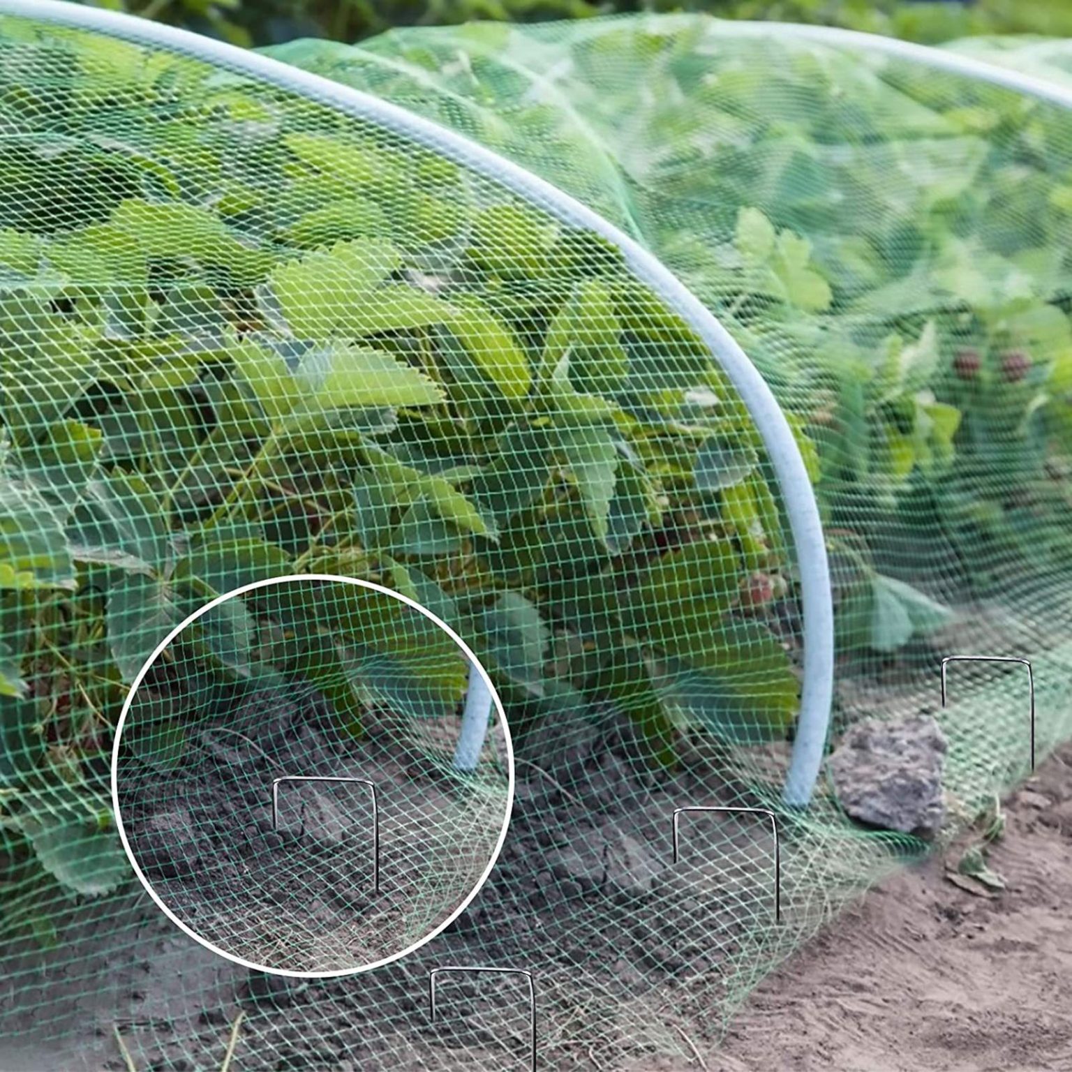 Bird Nets in Dubai, UAE – Balcony & Bird Control Net Suppliers