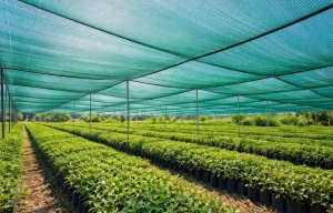 Benefits of Using Quality Shade Nets