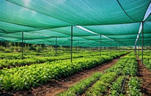 Emerging Trends in Shade Net Supply
