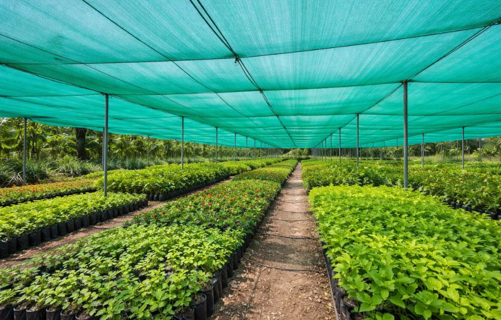 Top Uses of Shade Netting in the UAE Climate