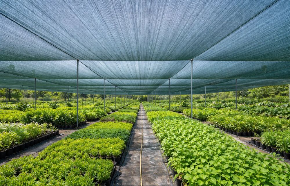 Agriculture and Horticulture Protection