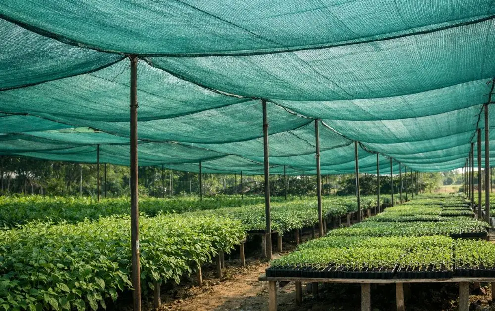 Durable Shade Nets for All Purposes