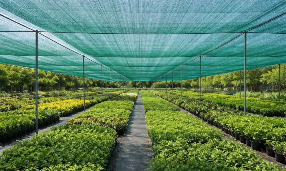 How to Choose the Right Shade Net