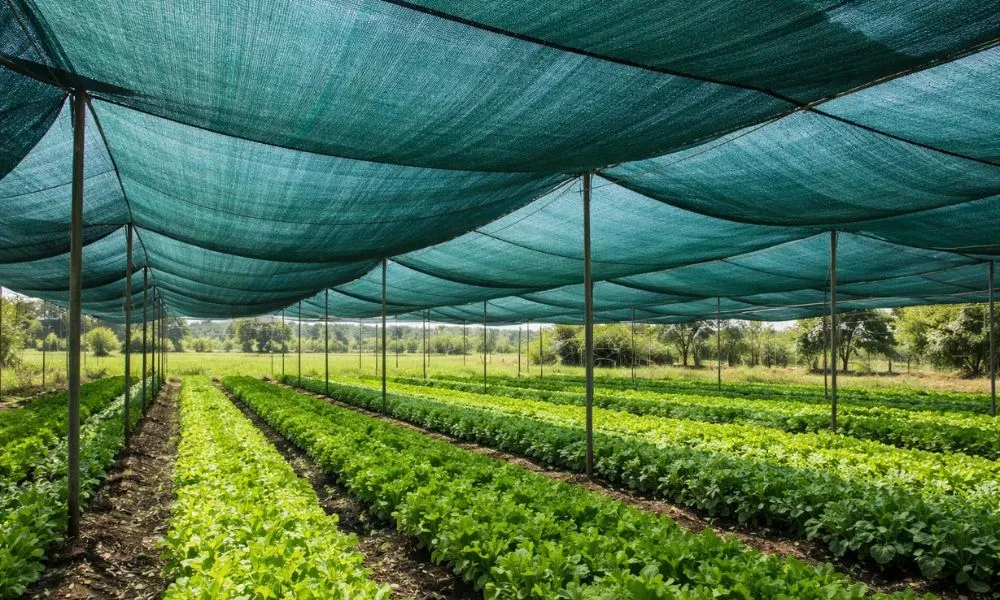 Why Shade Nets Are Essential in the UAE