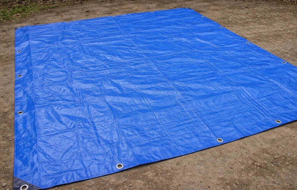 Supporting Sustainable Practices in the UAE